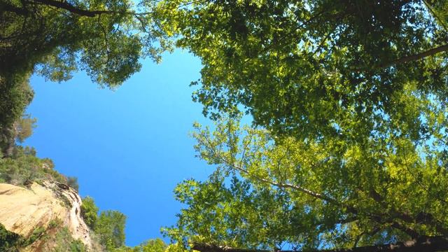 Антициклон David ворвется в Украину: какую погоду он принесет? смотреть онлайн