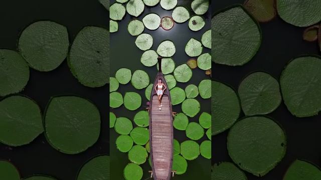 Туристические услуги по всему миру