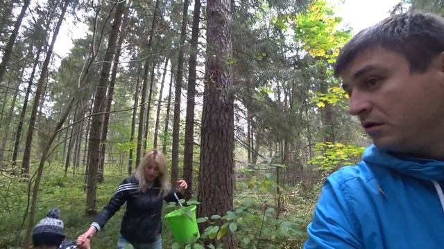 ВЛОГ: ПОЕХАЛ ЗА ГРИБАМИ И ЗАБЛУДИЛСЯ смотреть онлайн