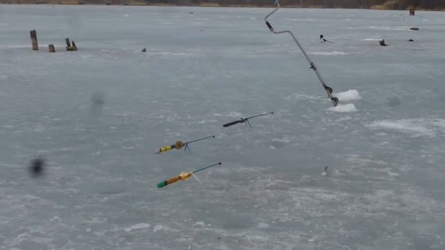 Рыбалка 20.03.21 на Шипулинском большом пруду в с.Никольское Белгородской обл. Ловим карася. смотреть онлайн