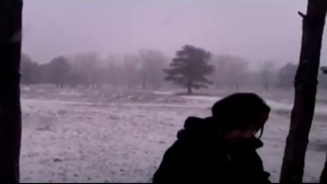 покатушка в Матвеевский лес 14.01.2012г смотреть онлайн