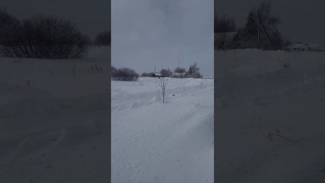 Первый выезд 2021,обкатываем Zoomav cr250 смотреть онлайн