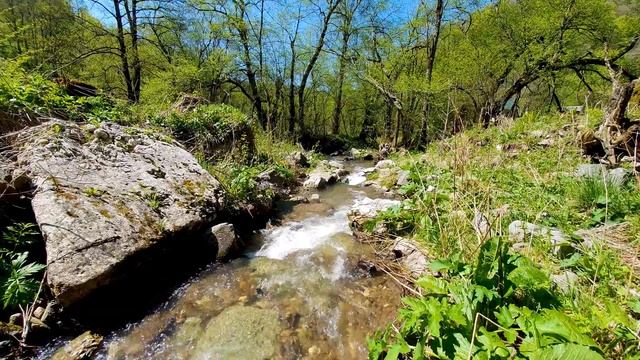 Mountain River Flowing down Rocky Slopes and Sounds of Water Stream смотреть онлайн