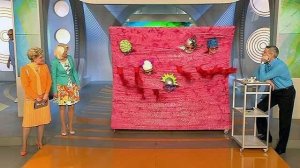 Причины зуда во влагалище. Жить здорово! Фрагмент выпуска от 03.02.2015