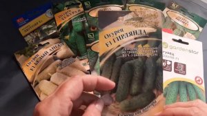 10 лучших сортов огурцов для средней полосы и нетолько/Гибриды и нетолько/