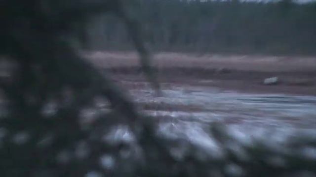 Самый красивый тетеревиный ток смотреть онлайн