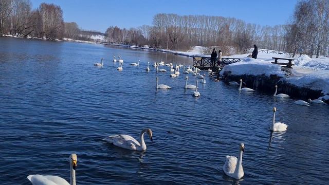 C0b2141e-cad6-428e-99e6-8de32a68465c-1_all_124.mp4