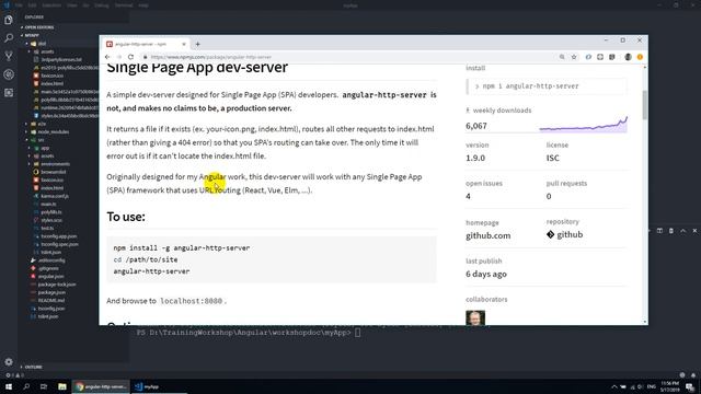 การ Run โปรเจ็กต์ Angular 7 บน Local ด้วย angular-http-server смотреть онлайн