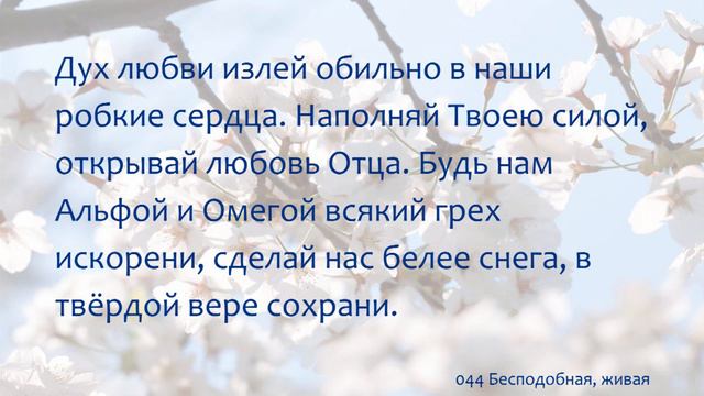 044 Бесподобная, живая смотреть онлайн