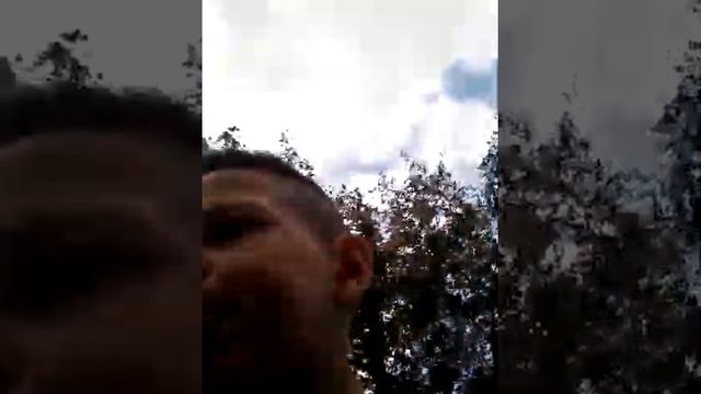 Влог про праздник смотреть онлайн