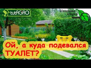 ДАЧНЫЙ ТУАЛЕТ И СЕПТИК. Что посадить возле этих деликатных объектов на участке? Озеленение туалета.