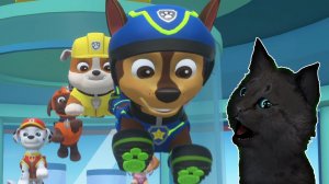 СУПЕР КОТ И СУПЕР СОБАКИ СОБИРАЕМ НЕ ДОСТАЮЩИЕ КОСТОЧКИ    #14 ? Mighty Pups Save Adventure Bay