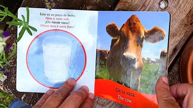 Farm Tales with Rocky the Pineywoods Bull смотреть онлайн