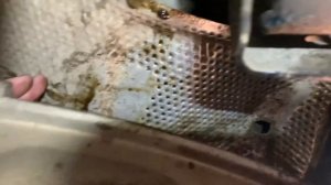 Очередной экран глушителя, ремонт в дороге.