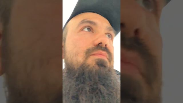 Покраска стен или обои? Что практичнее? смотреть онлайн