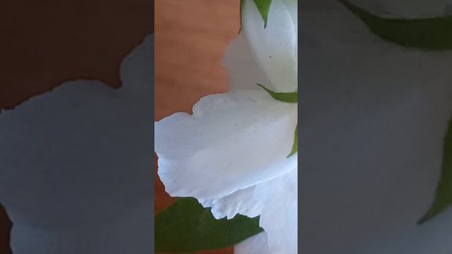 "...Учитель благий! что мне делать, чтобы наследовать жизнь вечную?" (Мар 10:17) смотреть онлайн