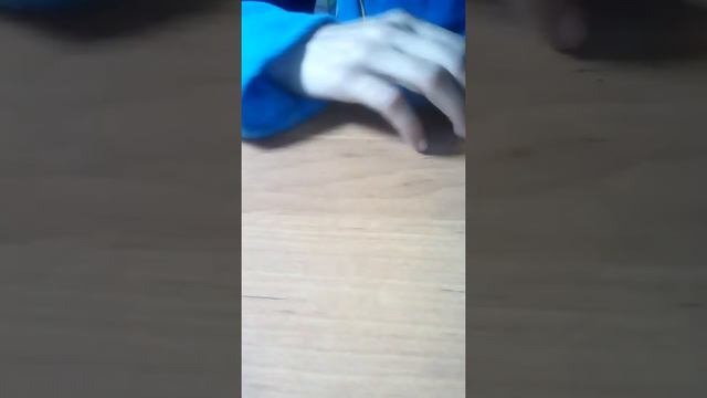 Что можно давать хомякам