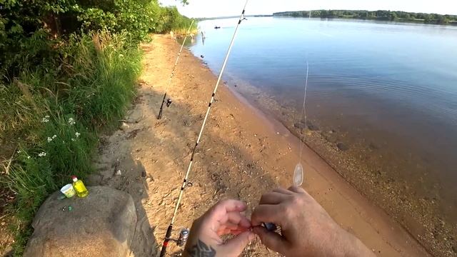 ДОНКИ КРОКОДИЛ И ТРИ ДНЯ НА РЕКЕ.fishingbushcraftnaturecamping.