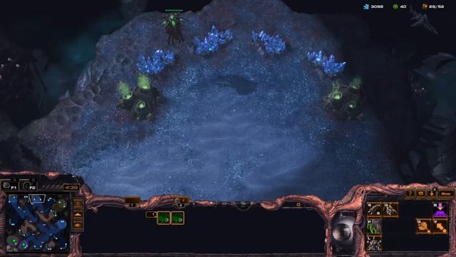 Топ 10 советов новичкам в StarCraft 2 / Что нужно новичку первым делом! смотреть онлайн