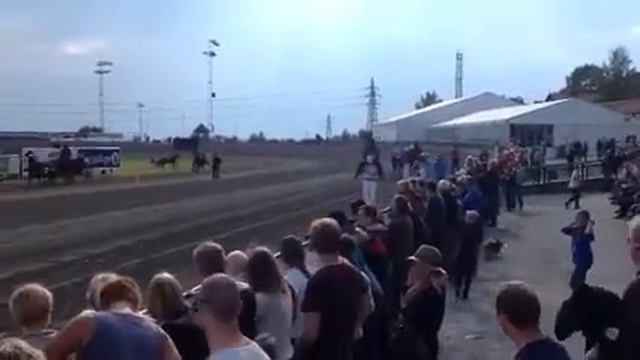 Thor Borg og Vesle Frøken Støen смотреть онлайн