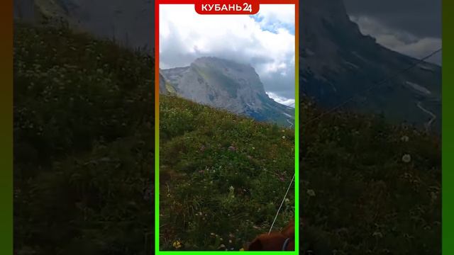 «Выше гор — только горы!» смотреть онлайн