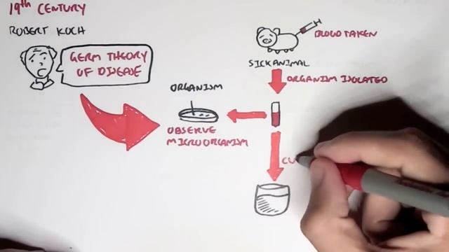 Microbiology - Overview смотреть онлайн