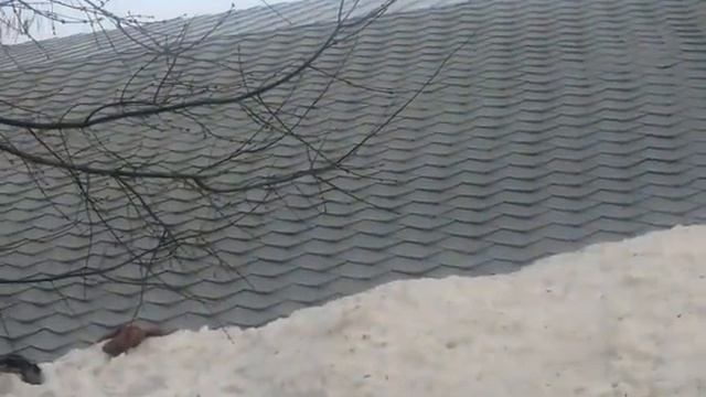 Ямакася 2 Пенза смотреть онлайн