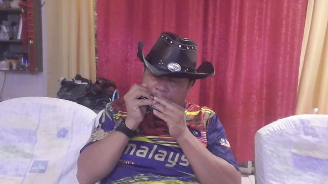 Harmonica guitar 00001, cover music ,last cowboy Western . смотреть онлайн