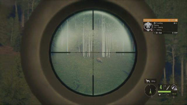 The Hunter: Call of the wild - Bison Caught the blicky! смотреть онлайн