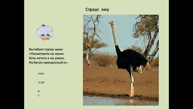 где живут слоны презентация 1 класс