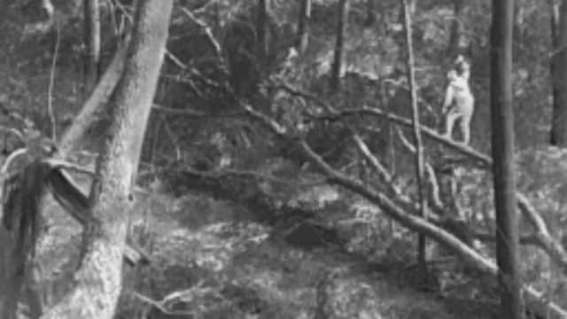 Тепловизионный монокуляр Iray DV DP 09 (дневное время) тепловизор смотреть онлайн