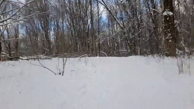 Обзор лыжной трассы Медвежино 26.01.2022 смотреть онлайн