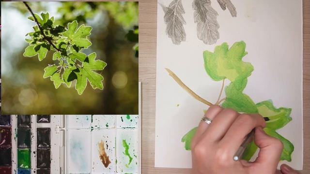 как нарисовать ветку клена смотреть онлайн