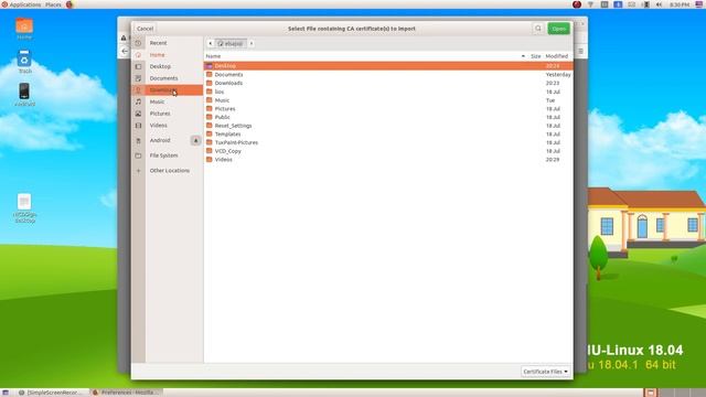 DSC firefox security Settings смотреть онлайн