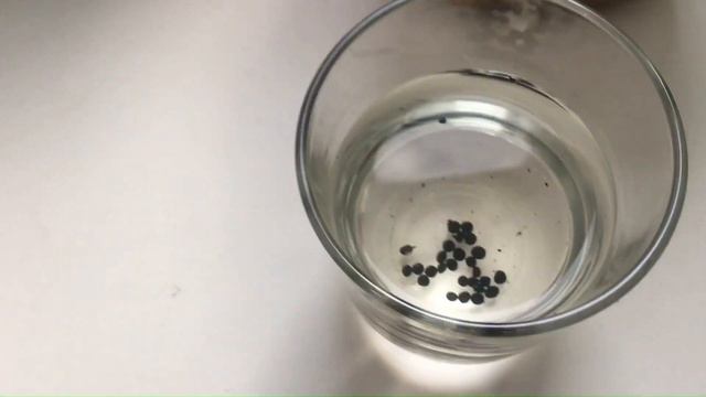 Вона королева овочів! Як її виростити СПАРЖА смотреть онлайн