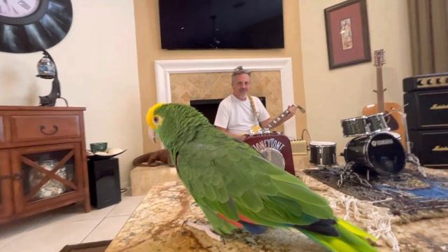 House Of The Rising Sun смотреть онлайн