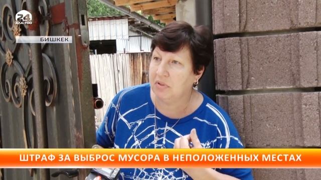 Штраф за выброс мусора в неположенных местах