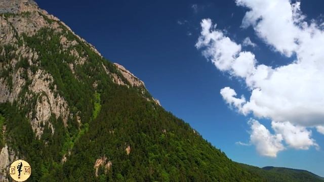 И.С. Бах  Токката и Фуга Ре минор в современной обработке