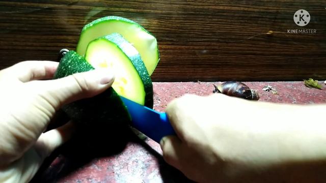 Как обустроить террариум для улиток ахатин. Африканские гигантские улитки ахатины (Achatina). смотреть онлайн