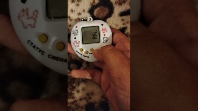 ТАМАГОЧИ игра из 90-х! Показываю как играть ! смотреть онлайн