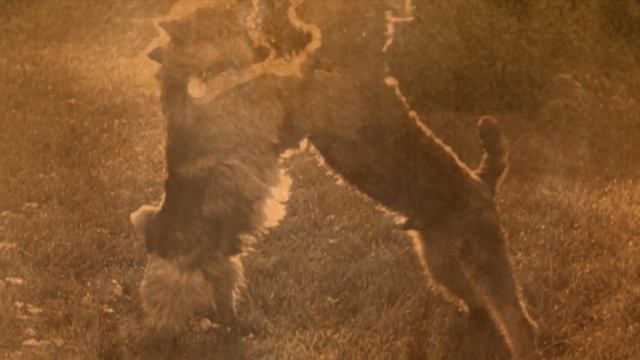 Oliver Squirt - Some Velvet Morning (Nancy Sinatra & Lee Hazelwood) смотреть онлайн