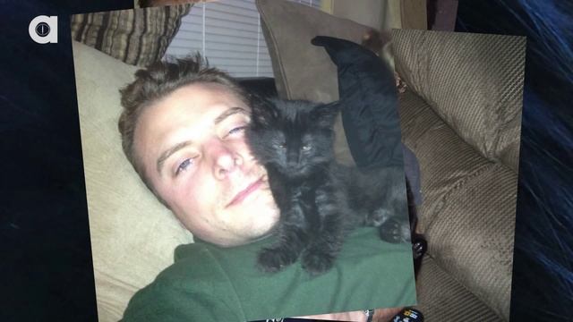 "Selfies" Bad Luck for Black Cats смотреть онлайн