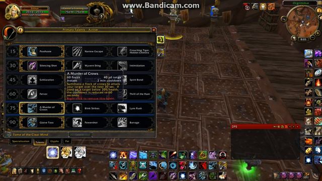 World of Warcraft: 5.3 Hunter survival dps guide смотреть онлайн