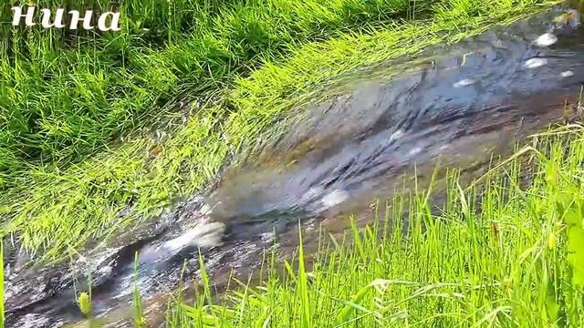 РУЧЕЕК - Ринат Сафин и Андрей Бандера смотреть онлайн