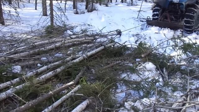 МТЗ-82 работа в лесу, трелёвка лебёдкой.