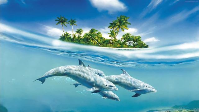 Dolphin Island. live wallpaper смотреть онлайн