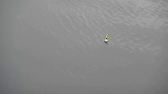 Рыбалка | Бычки в томатном соусе смотреть онлайн