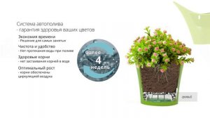 Кашпо для цветов схематично