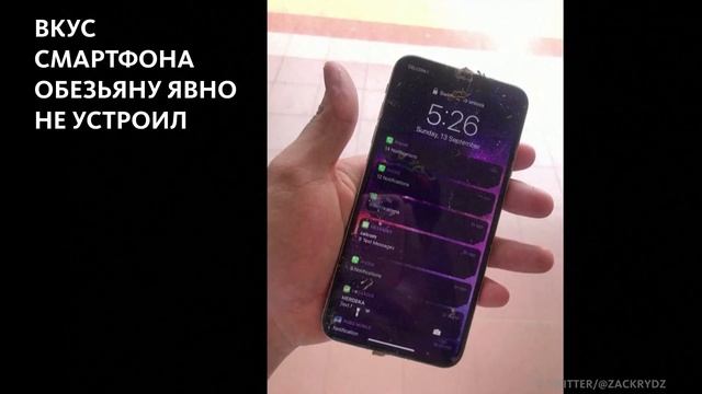 МАРТЫШКА И СМАРТФОН смотреть онлайн