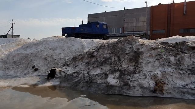 Сдам в Аренду: ТМ-120 «ЧЕТРА» в составе 2-х машинистов. Полный Капремонт !!! смотреть онлайн